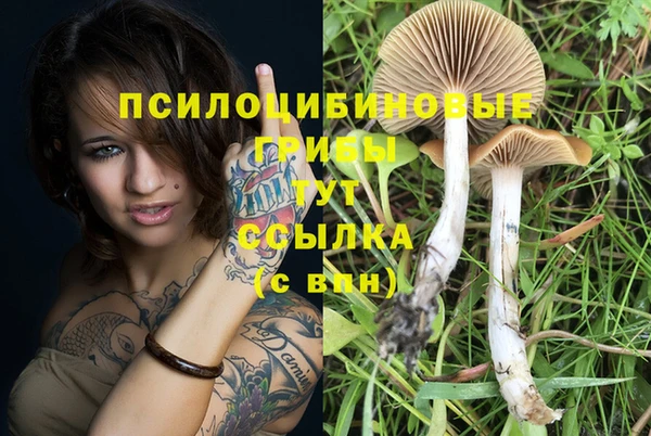 mdpv Алексин