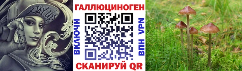 наркотики Чайковский Галлюциногенные грибы ЛСД